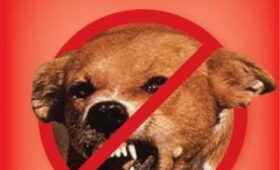 День боротьби зі сказом