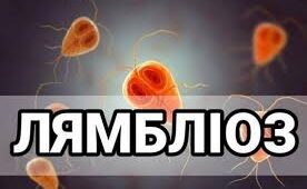 Що потрібно знати про лямбліоз