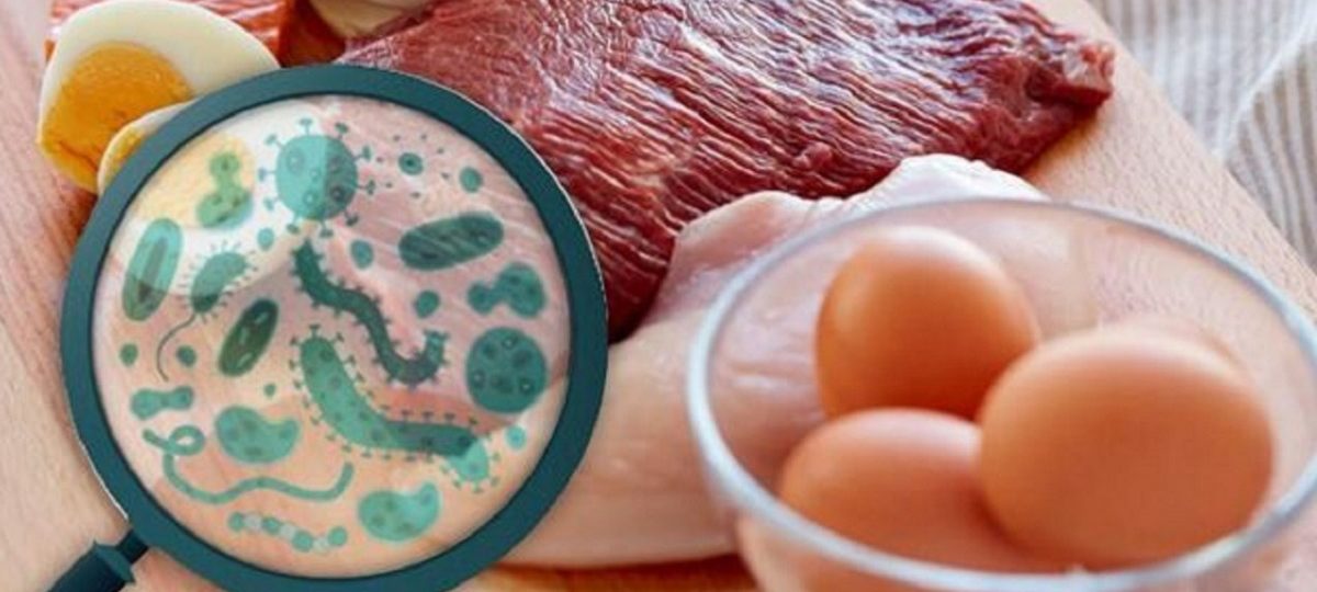 Що ж треба знати про сальмонельоз і як його попередити