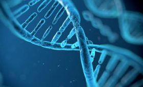 Всесвітній день поширення інформації про м’язову дистрофію Дюшена