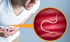 Як дізнатися чи є в організмі паразити?