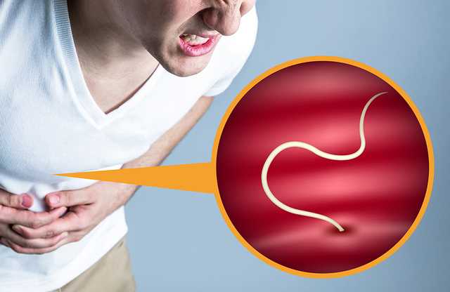 Як дізнатися чи є в організмі паразити?