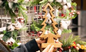 Як правильно обрати ялинку?