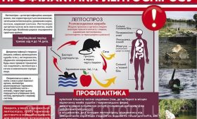 Профілактика лептоспірозу